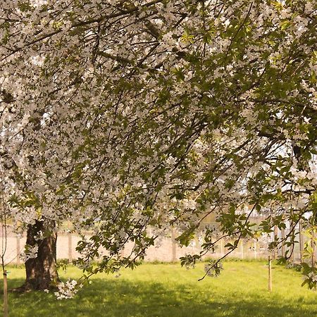 B&B Den Boomgaard モールセル エクステリア 写真