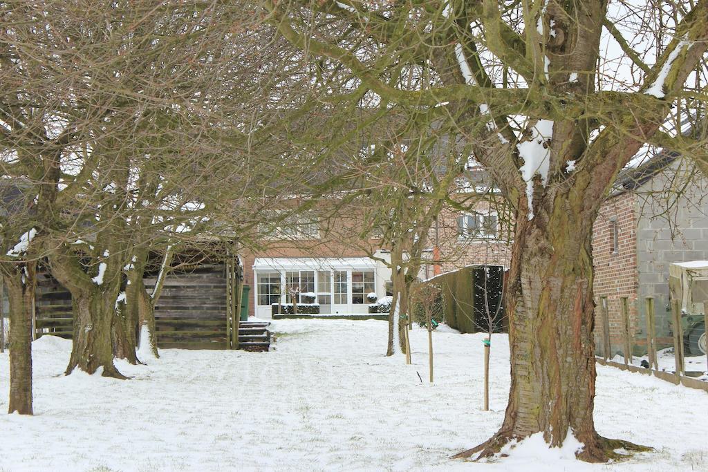 B&B Den Boomgaard モールセル エクステリア 写真